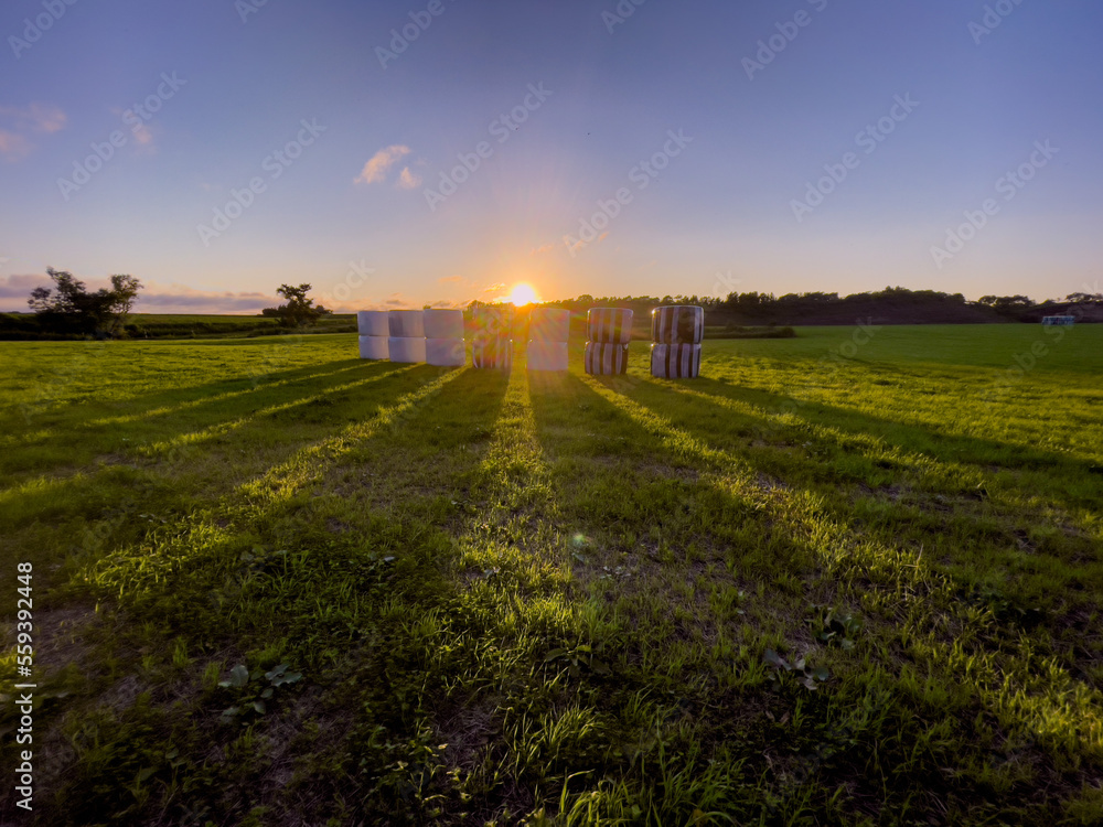 Obraz premium A grass roll that casts a shadow in the evening