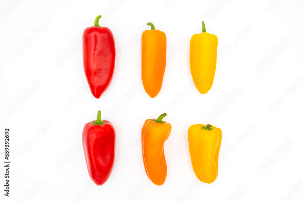 Two lines of red, orange and yellow bell peppers on a white background Two lines of red, orange and yellow bell peppers on a white background