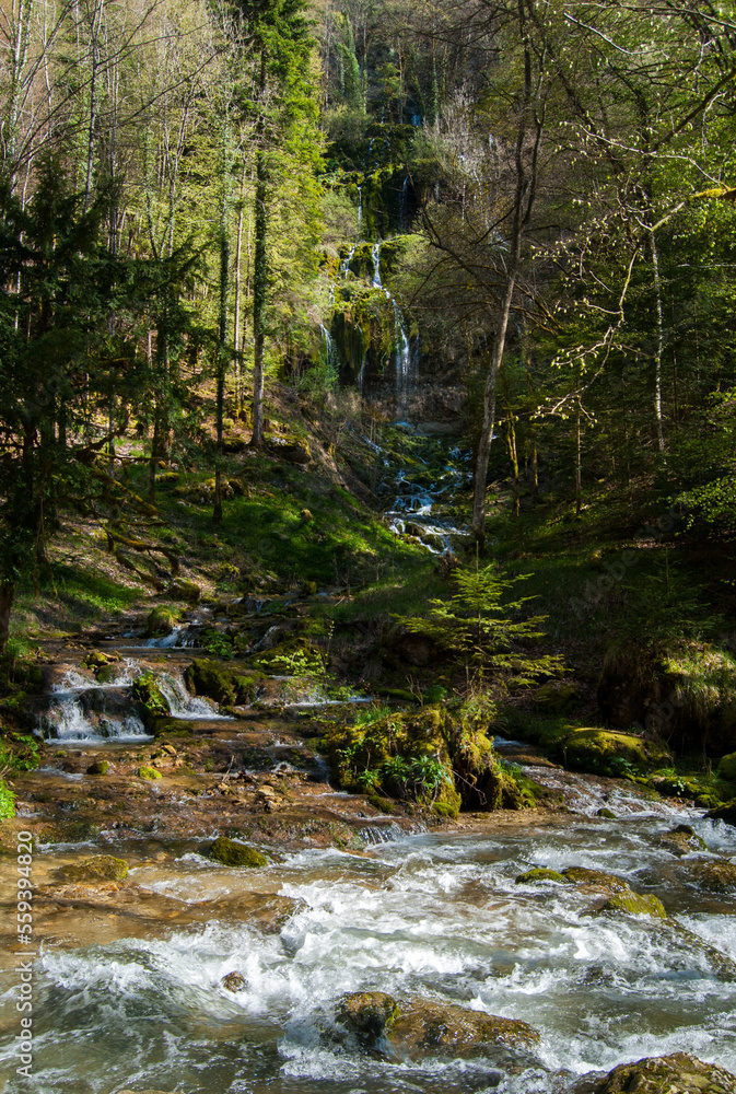 Eau dans la forêt Eau dans la forêt