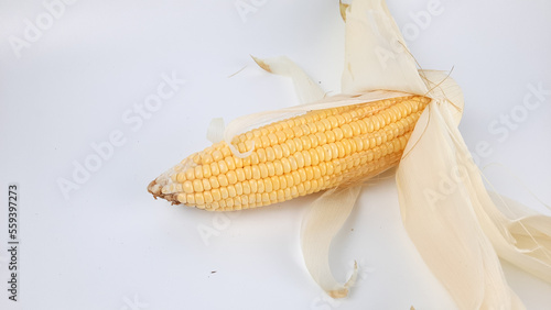 Sweet corn on a white background