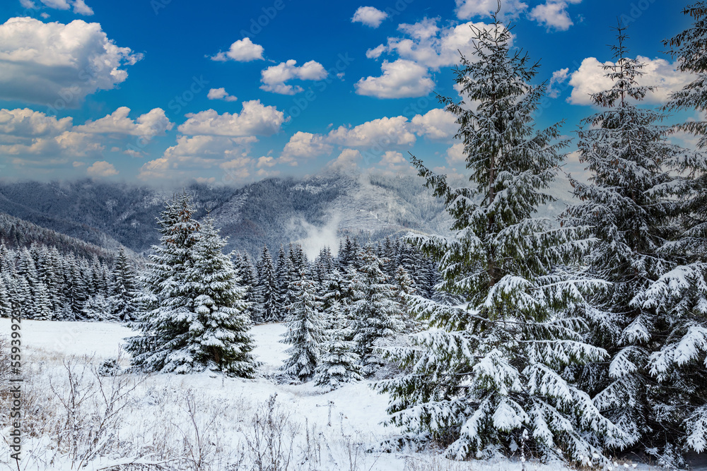 Winter mountain landscape in Tatras. Slovakia. Winter mountain landscape in Tatras. Slovakia.