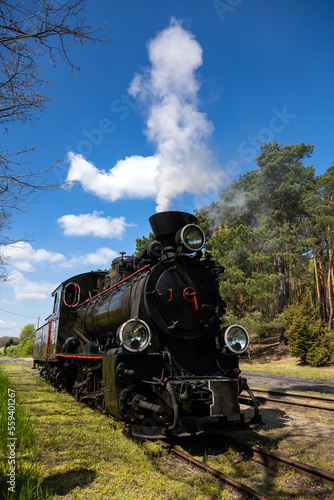 A narrow-gauge railway steam locomotive standing under steam on a forest railway siding. Keeping railway monuments in constant motion.