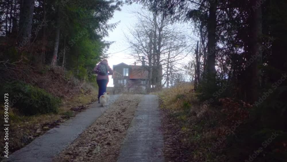 A female tourist with a backpack climbs uphill on the road in the autumn forest with a dog. There is a private house in the background. Slow motion 120fps FullHD footage A female tourist with a backpack climbs uphill on the road in the autumn forest with a dog. There is a private house in the background. Slow motion 120fps FullHD footage