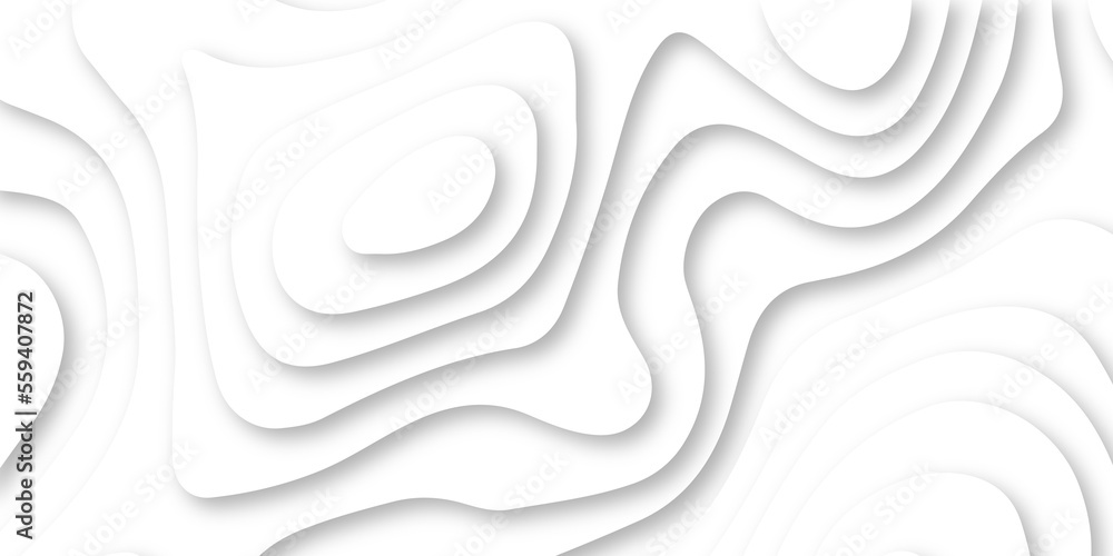 Abstract Luxury paper cut background, Abstract decoration, white pattern lines gradients, 3d Vector illustration, topographic canyon map light relief texture, curved layers. Abstract Luxury paper cut background, Abstract decoration, white pattern lines gradients, 3d Vector illustration, topographic canyon map light relief texture, curved layers.