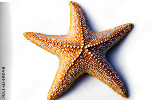 Isolated starfish on a white background. Generative AI