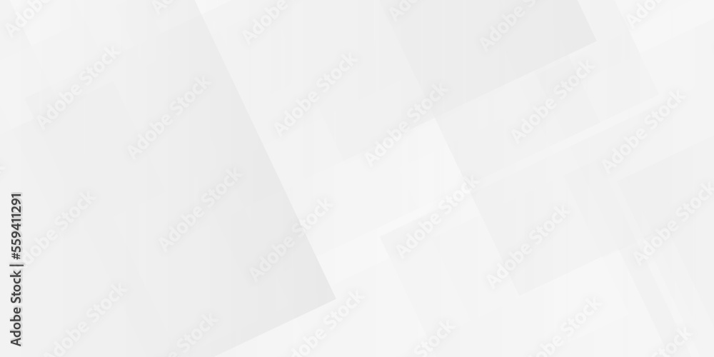 White paper texture and abstract white background with lines white light & grey background. Space design concept. Decorative web layout or poster, banner. White grey background vector design.
White paper texture and abstract white background with lines white light & grey background. Space design concept. Decorative web layout or poster, banner. White grey background vector design.