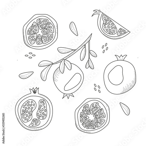 Pomegranate set. Whole and pieces of  garnet fruit with seeds