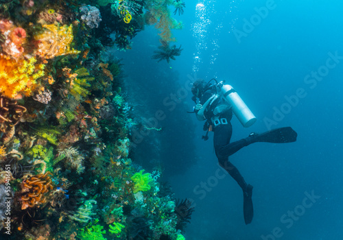 Wallpaper Mural Scuba diver is exploring the colourful corals around Komodo Island in Indonesia Torontodigital.ca