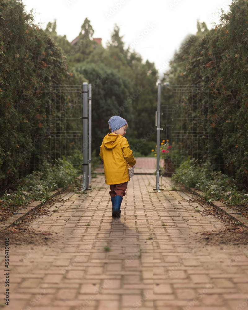 Small boy in yellow raincoat walking away on pavement in garden Small boy in yellow raincoat walking away on pavement in garden