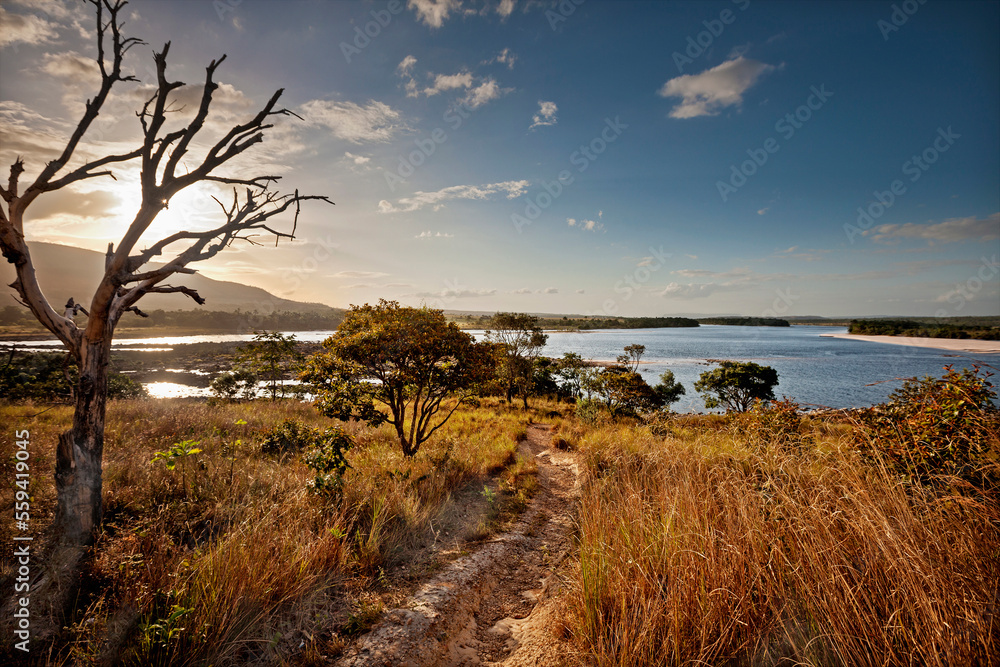 Scenic view of Carrao river, Canaima National Park, Venezuela Scenic view of Carrao river, Canaima National Park, Venezuela