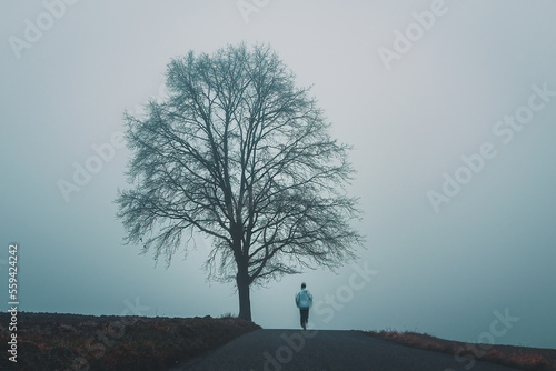 Murais de parede Young man running on road with tree and melancholy fog