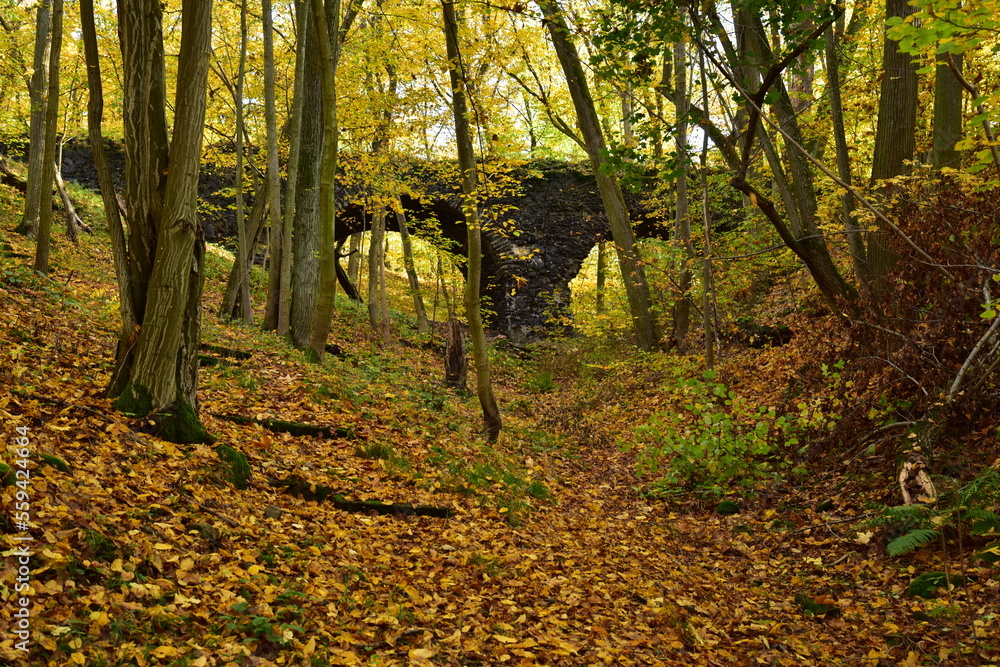 Fototapeta premium English park Dobris Devil´s bridge