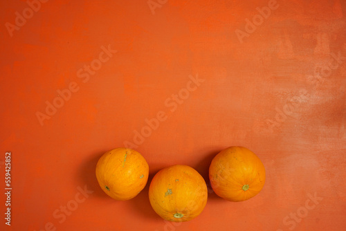 Pumpkins zucchini courgette on an orange surface