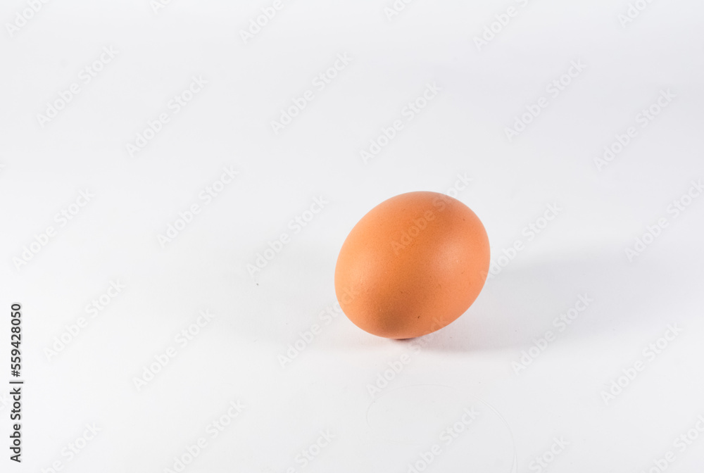 chicken egg isolated on white background chicken egg isolated on white background