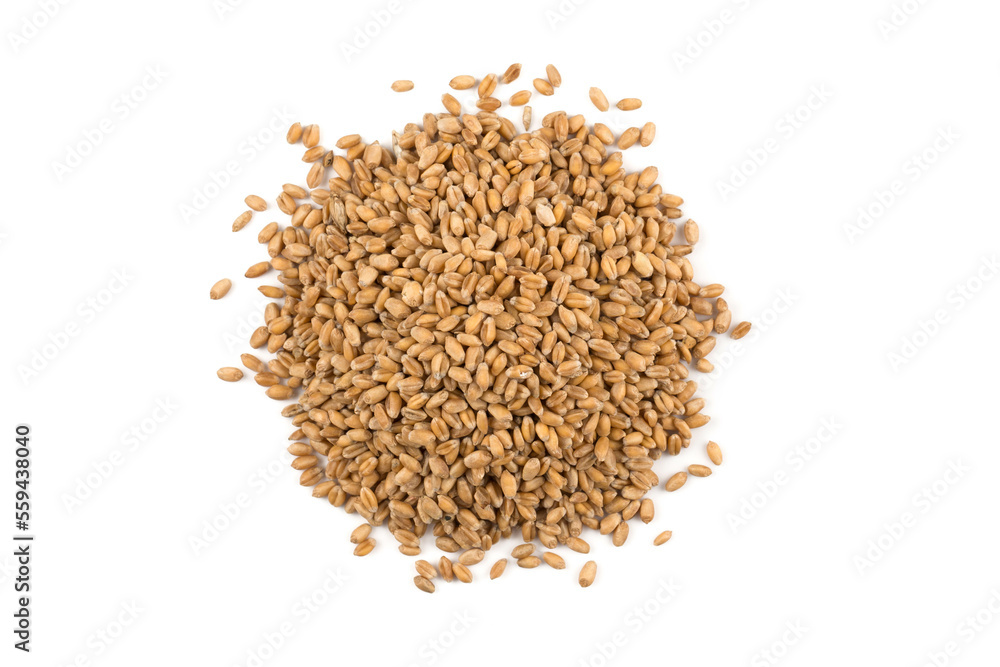 Wheat grain on white Wheat grain on white