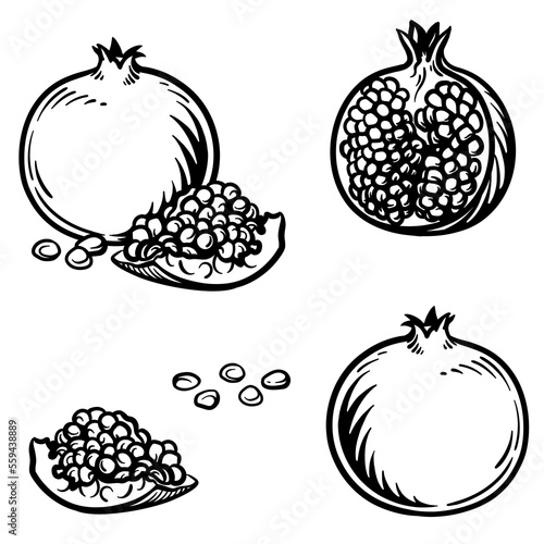 Pomegranate and half a pomegranate. Vector illustration of fruit in engraving style.