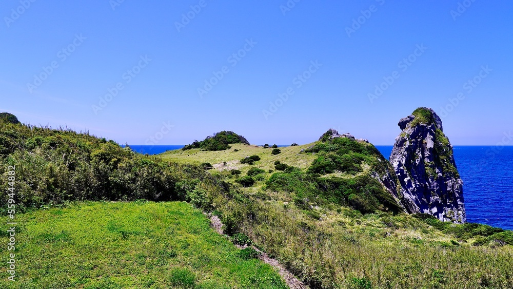Fototapeta premium 壱岐島のシンボルである猿岩の晴れた風景