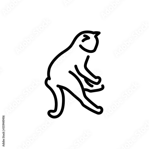 Happy cat standing color line icon. Pictogram for web page