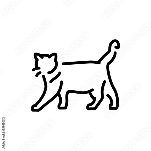 Happy cat standing color line icon. Pictogram for web page