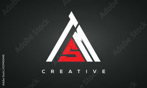 TSM monogram triangle logo design photo