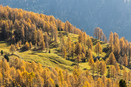 Autumn mountain landscape in the Dolomiti mountains in South Tyrol, Italy photo