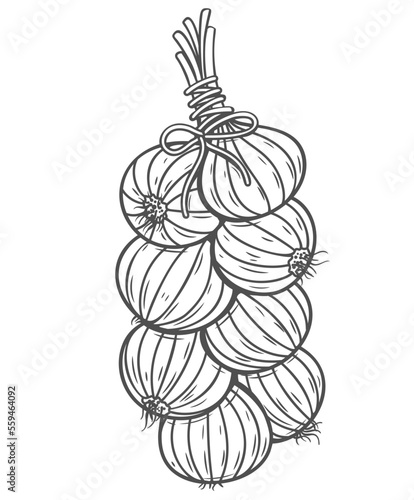 Onion bunch line icon vector illustration. Hand drawn outline braid of healthy shallot bulbs hanging on string in kitchen, plait bundle of onion whole heads with rope knot, natural harvest storage