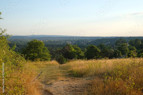 Views from Pewley Down in Guildford, Surrey during the summer drought of 2022.