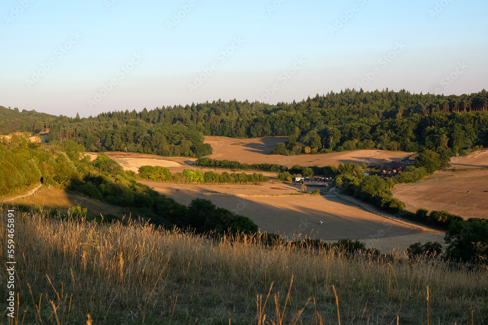 Views from Pewley Down in Guildford, Surrey during the summer drought of 2022.