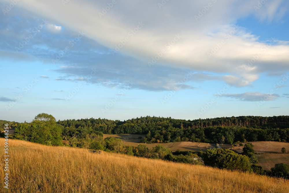 Views from Pewley Down in Guildford, Surrey during the summer drought of 2022.