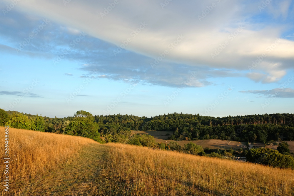 Obraz premium Views from Pewley Down in Guildford, Surrey during the summer drought of 2022.