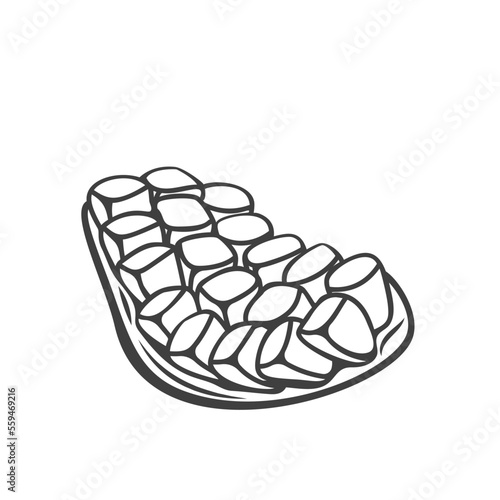 Pomegranate slice line icon vector illustration. Hand drawn outline ripe garnet fruit cut in piece with seeds and peel, exotic natural vitamin pomegranate for making juice or smoothie, grenadine