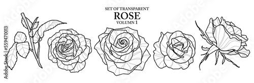 Cute hand drawn isolated black outline rose on transparent background png file (Volumn 1)