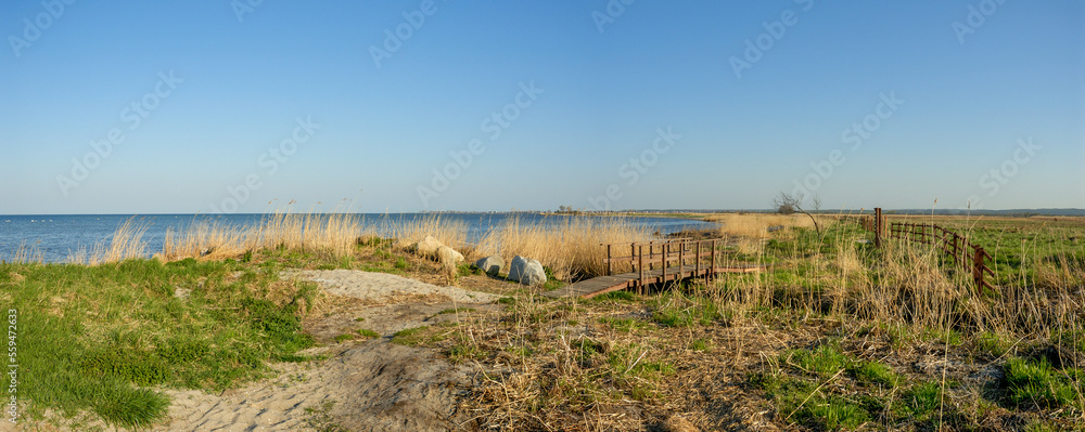 Baltic Sea coastscape on a sunny day (panoramic view) - Beka Nature Reserve - Puck Bay, Pomerania, Poland