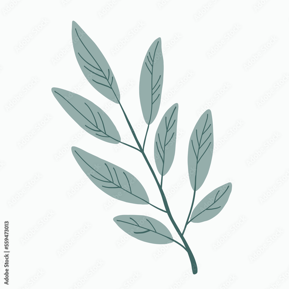 Fototapeta premium Simplicity floral freehand drawing flat design.