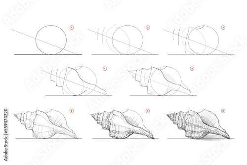 Page shows how to learn to draw sketch of sea shell. Pencil drawing lessons. Educational page for artists. Textbook for developing artistic skills. Online education. Vector image. photo