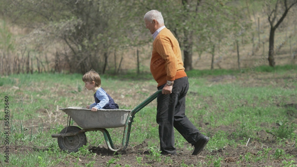 Old man carrying little kid in wheelbarrow Old man carrying little kid in wheelbarrow