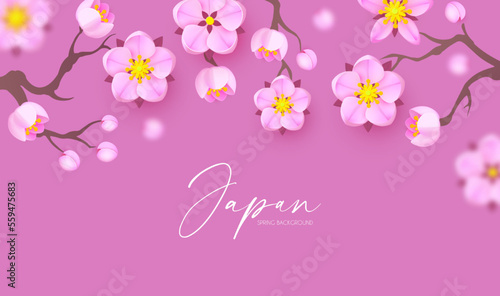 Japanese background sakura blossom. Asian paper design