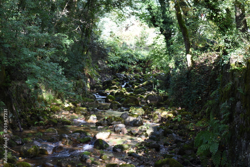fluvial, molhar, arborizar, córrego, natureza, cascata, verde, rocha, paisagem, buraco, árvore, árvore, montagna, creek, ria, musgo, rocha, parque, fluxo, fluindo, floresta húmida, cercar, madeira, ca fluvial, molhar, arborizar, córrego, natureza, cascata, verde, rocha, paisagem, buraco, árvore, árvore, montagna, creek, ria, musgo, rocha, parque, fluxo, fluindo, floresta húmida, cercar, madeira, ca