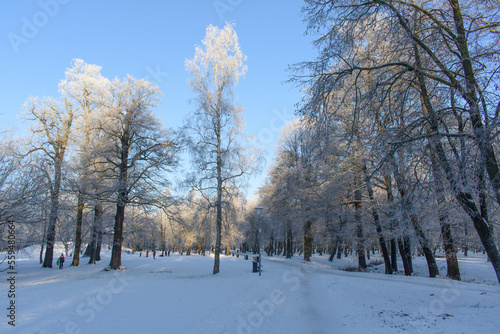 Park in winter with pathways and snow covered trees, people in background