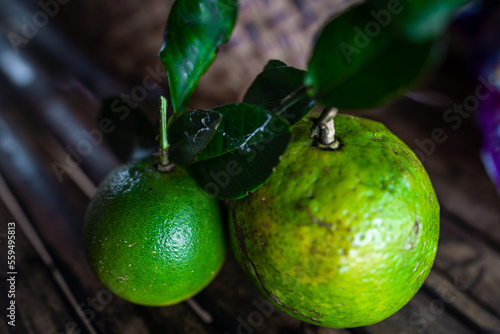 Green citrus freshly picked from the tree photo