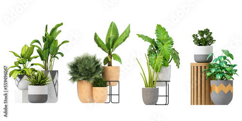 Set of plants isolated 