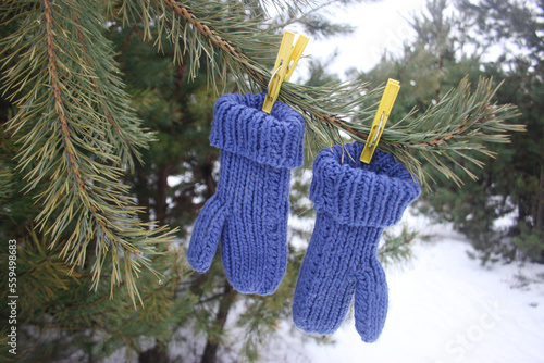 blue mittens on clothespins on the Christmas tree