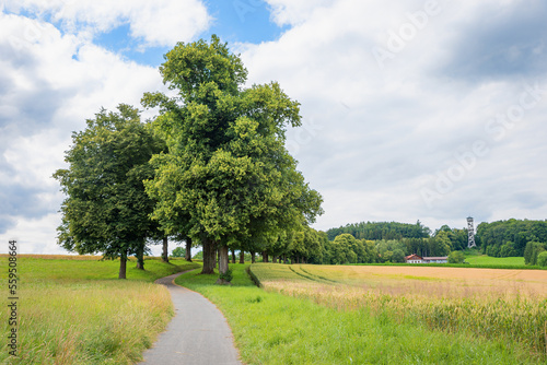 walkway through green alley to lookout tower Aussichtsturm Ebersberg photo