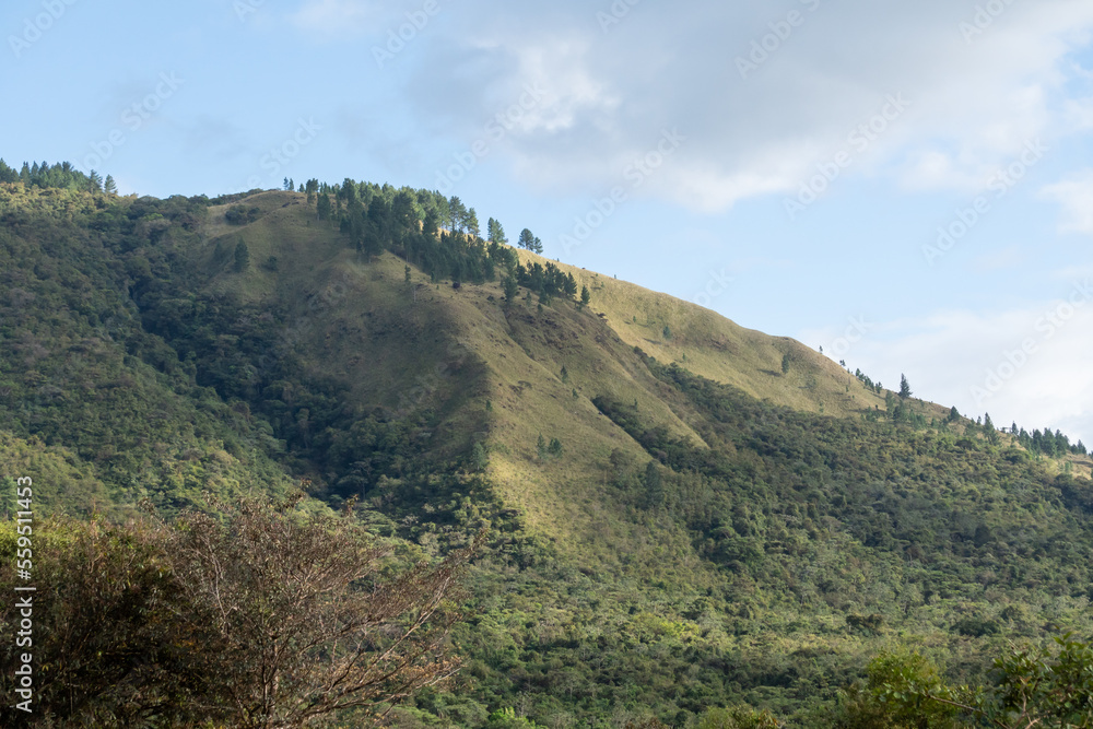 Parque Nacional Forestal La Yeguada