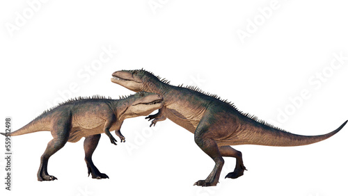 Carcharodontosaurus dinosaur isolated on blank background PNG ultra high resolution