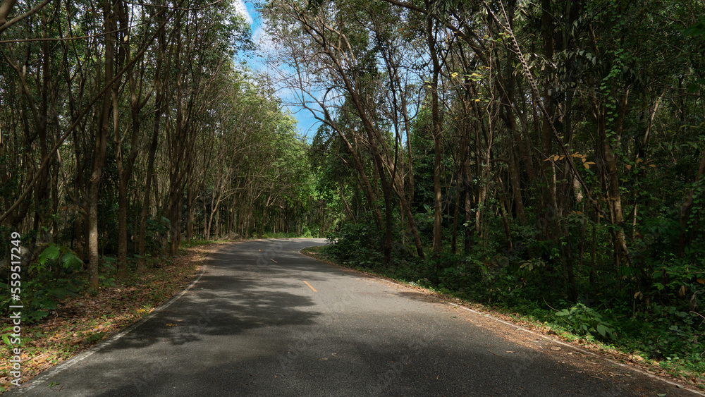 Curvy road of empty asphalt road with yellow traffic line. Two beside of road with green forest under the sky. Curvy road of empty asphalt road with yellow traffic line. Two beside of road with green forest under the sky.