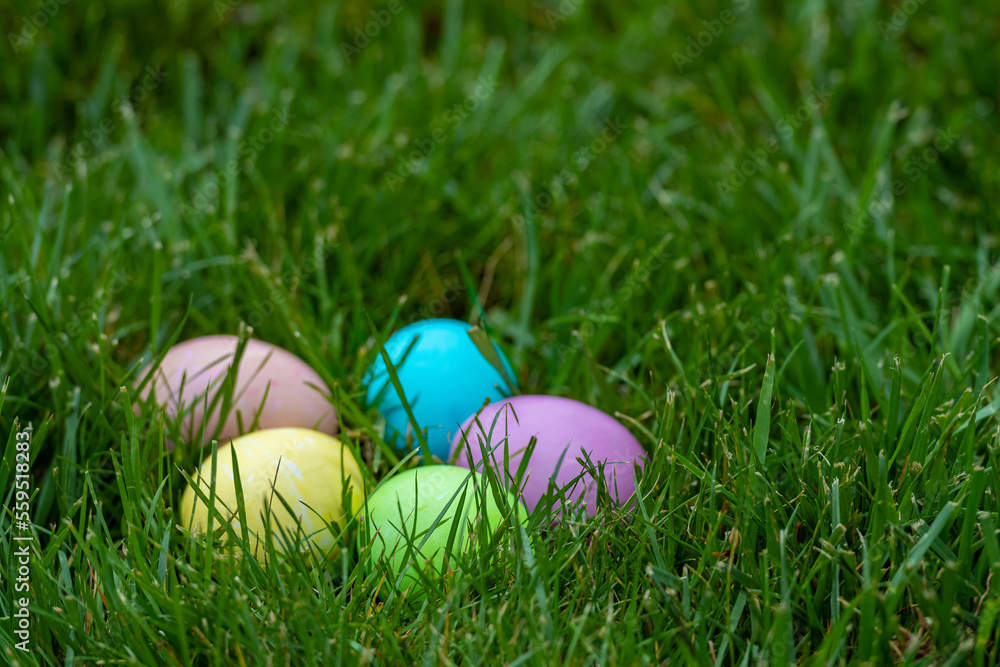 Multiple colorfully dyed Easter eggs in green grass with a shallow depth of field and copy space
