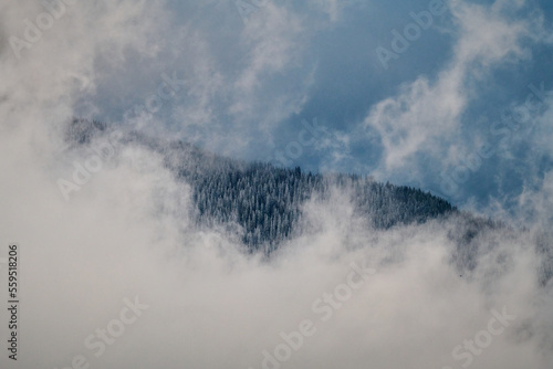 Foggy Landscape on winter days © Razvan
