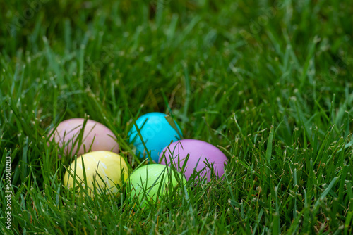 Multiple colorfully dyed Easter eggs in green grass with a shallow depth of field and copy space