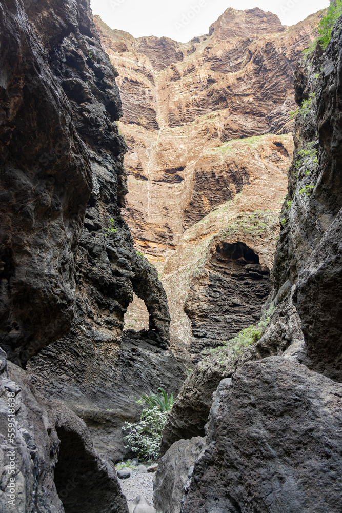 Aktiv auf Teneriffa, Kanarische Inseln: Die Masca Schlucht im Nordwesten - geführte Wanderung durch die berühmte, einzigartige Schlucht, der sogenannte Elefant, Elefantenrüssel Aktiv auf Teneriffa, Kanarische Inseln: Die Masca Schlucht im Nordwesten - geführte Wanderung durch die berühmte, einzigartige Schlucht, der sogenannte Elefant, Elefantenrüssel